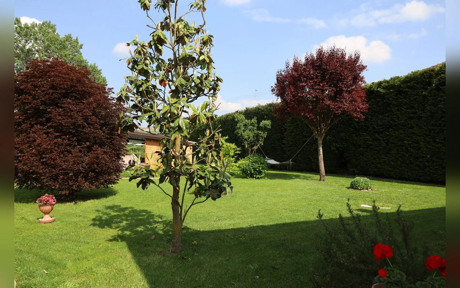 Tenuta Beatrice, struttura a Castell'Alfero (Piemonte) (foto 20)