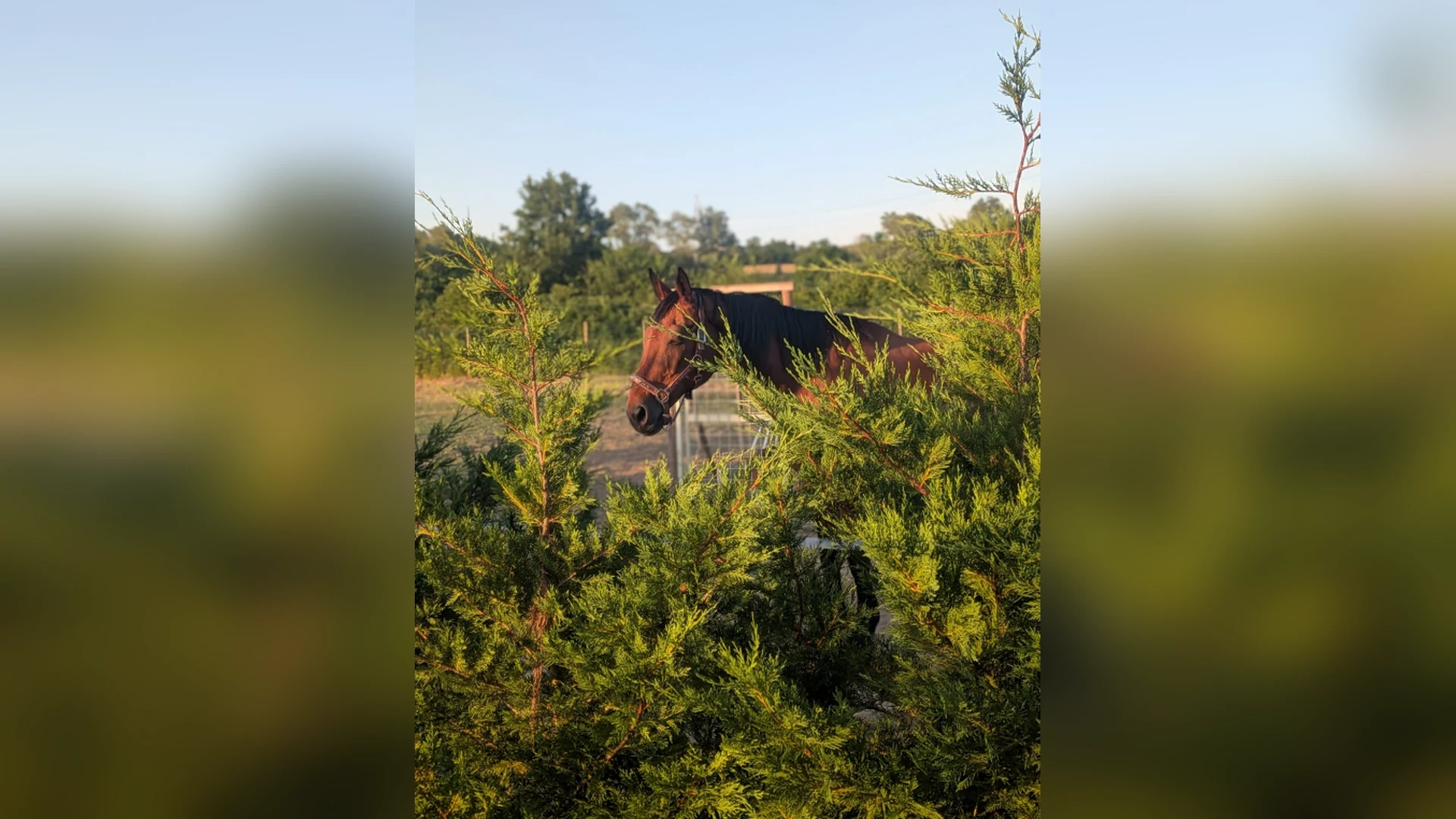 Esterni di Tenuta Beatrice, Castell'Alfero (Piemonte) (foto 73)