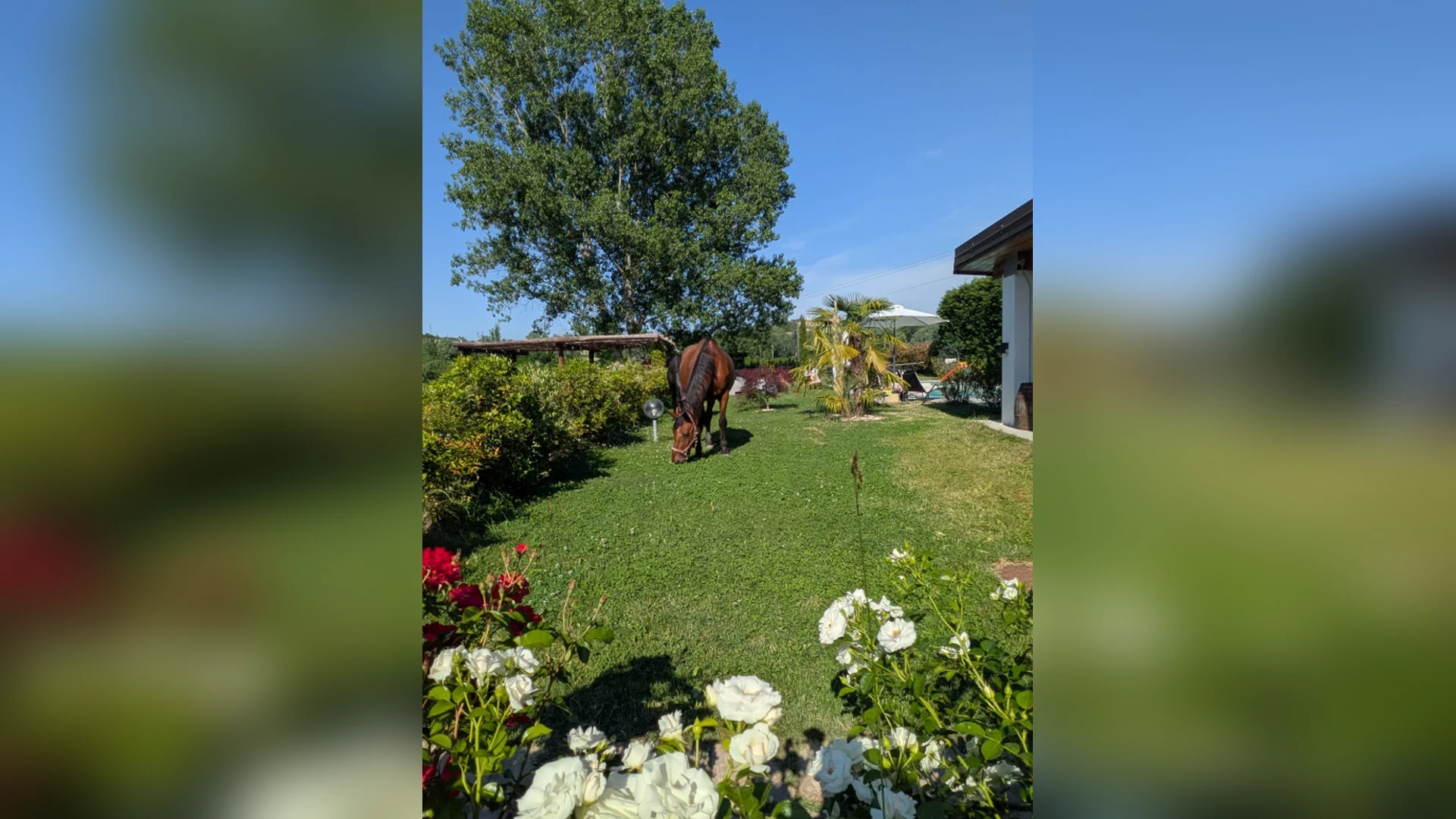 Esterni di Tenuta Beatrice, Castell'Alfero (Piemonte) (foto 74)