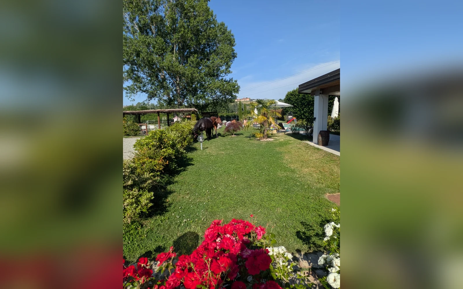 Esterni di Tenuta Beatrice, Castell'Alfero (Piemonte) (foto 79)