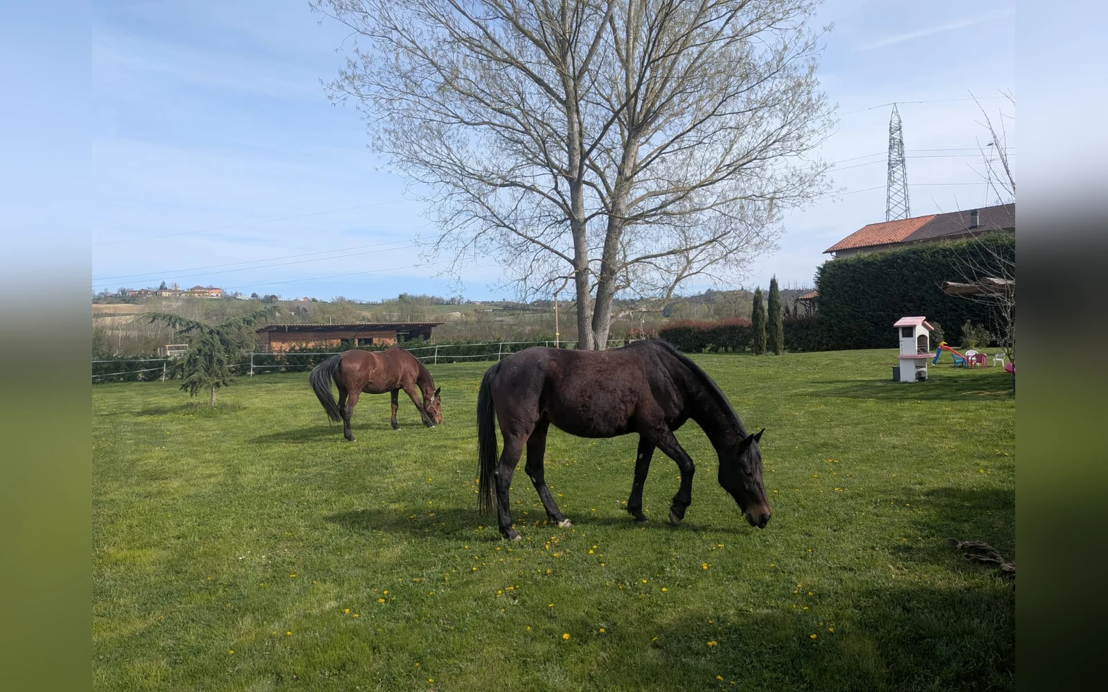 Esterni di Tenuta Beatrice, Castell'Alfero (Piemonte) (foto 81)