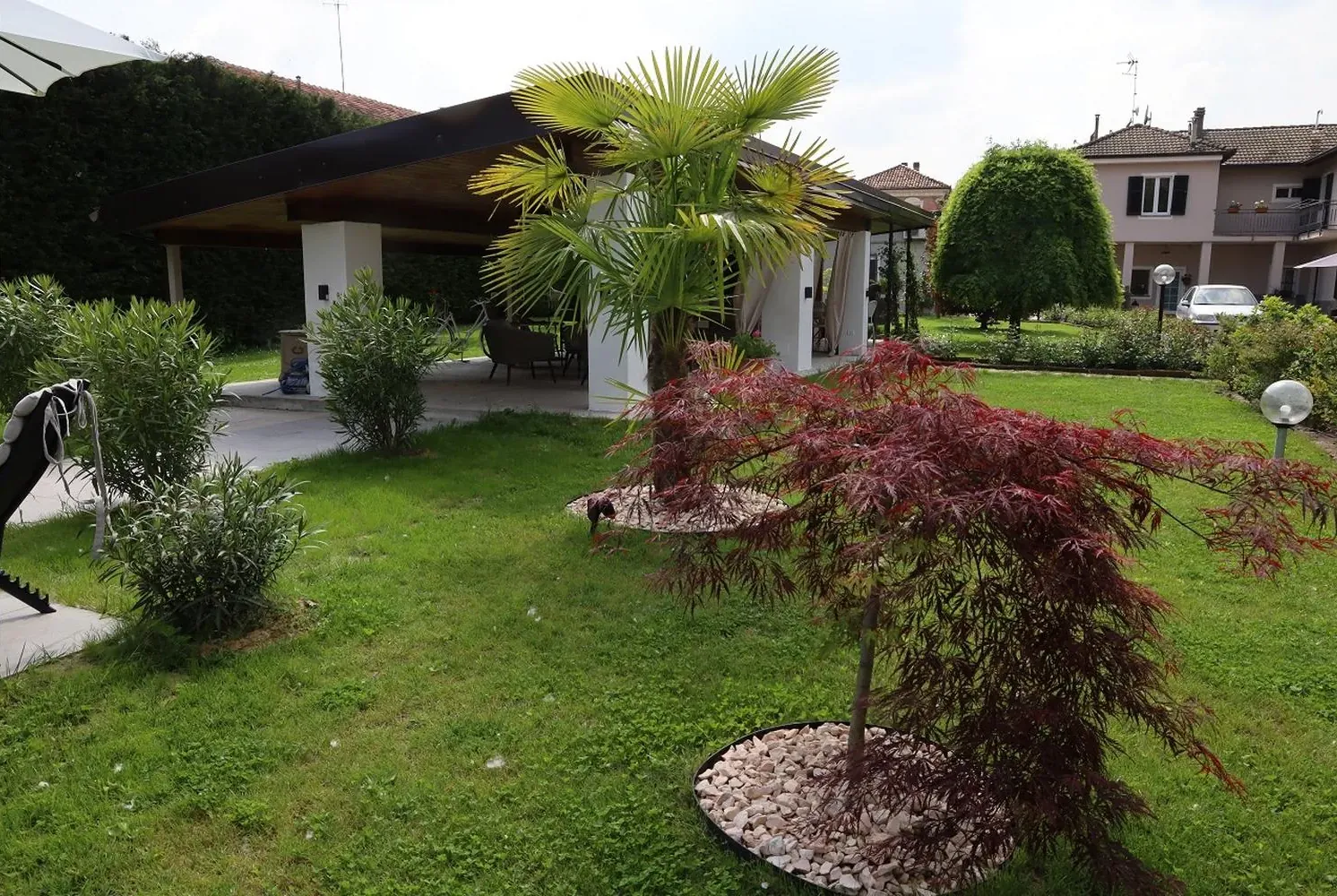 Il giardino con la palma e l'acero rosso